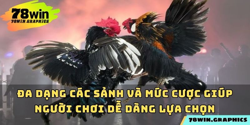 Đa dạng các sảnh và mức cược giúp người chơi dễ dàng lựa chọn