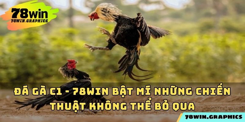 Đá Gà C1